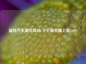 福特汽车盘中异动 下午盘大幅上涨5.09%