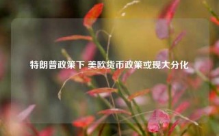 特朗普政策下 美欧货币政策或现大分化