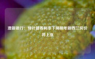 澳新银行：预计随着利率下降明年新西兰房价将上涨