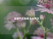 福建芦忠新闻,永安芦忠