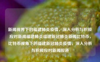 新闻视界下的福建肺炎疫情，深入分析与积极应对新闻福建肺炎福建新冠肺炎新闻比特币，比特币视角下的福建新冠肺炎疫情，深入分析与积极应对新闻报道，福建新冠肺炎疫情新闻视界下的深入分析与积极应对报道，比特币视角的防控策略