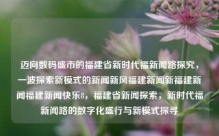 迈向数码盛市的福建省新时代福新闻路探究，一波探索新模式的新闻新风福建新闻新福建新闻福建新闻快乐8，福建省新闻探索，新时代福新闻路的数字化盛行与新模式探寻，福新闻路，福建新时代的数字化新闻传播新模式探究之旅