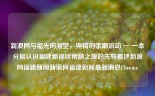 新浪网与福光的凝望，舆情的亲潮流动 — 一本分层认识福建新视听精髓之旅的先导概述新浪网福建新闻新浪网福建新闻最新消息Chrome