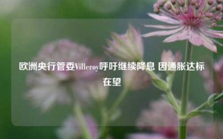 欧洲央行管委Villeroy呼吁继续降息 因通胀达标在望