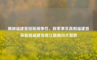 揭秘福建晋田新闻事件，探索事实真相福建晋田新闻福建省晋江新闻川大智胜