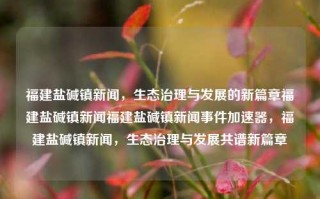 福建盐碱镇新闻，生态治理与发展的新篇章福建盐碱镇新闻福建盐碱镇新闻事件加速器，福建盐碱镇新闻，生态治理与发展共谱新篇章，福建盐碱镇新闻，生态治理与发展共绘新蓝图