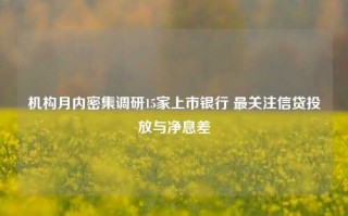 机构月内密集调研15家上市银行 最关注信贷投放与净息差