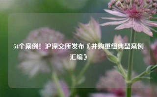 54个案例！沪深交所发布《并购重组典型案例汇编》