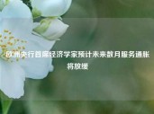 欧洲央行首席经济学家预计未来数月服务通胀将放缓