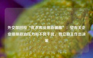 外交部回应“优衣库没用新疆棉”：望有关企业排除政治压力和不良干扰，独立自主作出决策