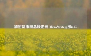 加密货币概念股走高 MicroStrategy涨8.4%