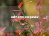 福建油菜花新闻,福清油菜花