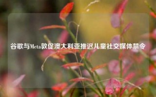 谷歌与Meta敦促澳大利亚推迟儿童社交媒体禁令