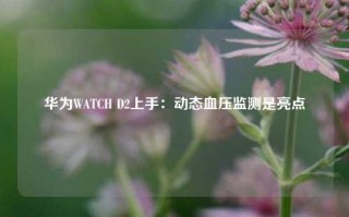 华为WATCH D2上手：动态血压监测是亮点