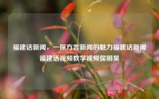 福建话新闻，一探方言新闻的魅力福建话新闻福建话视频教学视频侯明昊