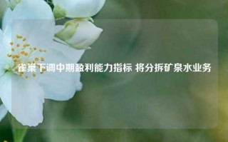 雀巢下调中期盈利能力指标 将分拆矿泉水业务