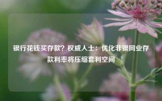 银行花钱买存款？权威人士：优化非银同业存款利率将压缩套利空间