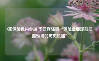 9家保险机构参加 李云泽强调“保险业要深刻把握难得的历史机遇”