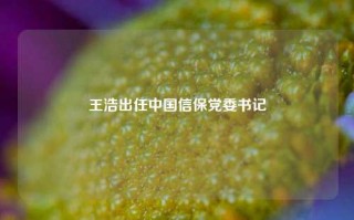 王浩出任中国信保党委书记