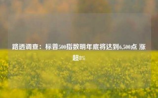 路透调查：标普500指数明年底将达到6,500点 涨超8%