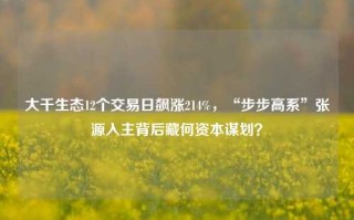 大千生态12个交易日飙涨214%，“步步高系”张源入主背后藏何资本谋划？