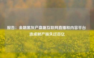 报告：金融黑灰产盘踞互联网直播和内容平台 造成财产损失过百亿