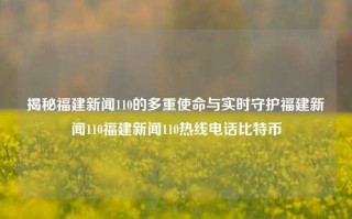 揭秘福建新闻110的多重使命与实时守护福建新闻110福建新闻110热线电话比特币