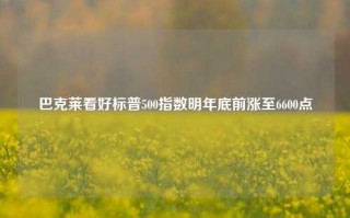 巴克莱看好标普500指数明年底前涨至6600点