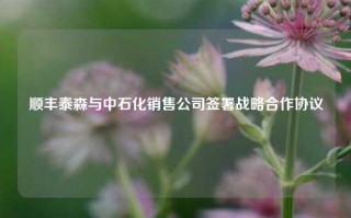 顺丰泰森与中石化销售公司签署战略合作协议