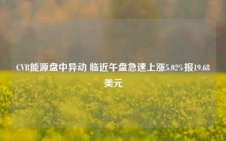 CVR能源盘中异动 临近午盘急速上涨5.02%报19.68美元