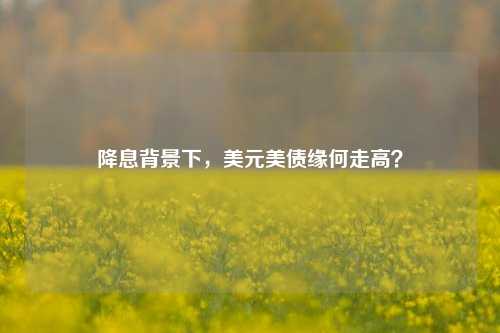 降息背景下，美元美债缘何走高？