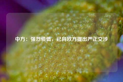 中方：强烈愤慨，已向欧方提出严正交涉