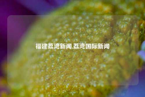 福建荔湾新闻,荔湾国际新闻