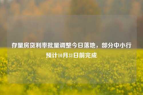 存量房贷利率批量调整今日落地，部分中小行预计10月31日前完成