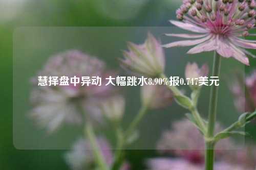 慧择盘中异动 大幅跳水8.90%报0.747美元