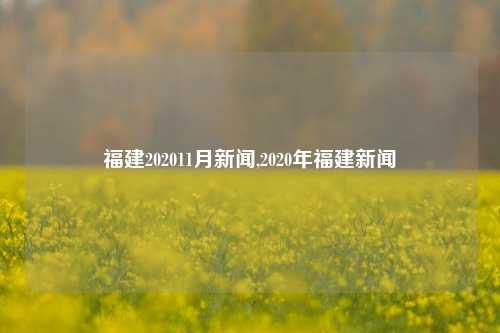 福建202011月新闻,2020年福建新闻