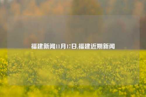 福建新闻11月17日,福建近期新闻