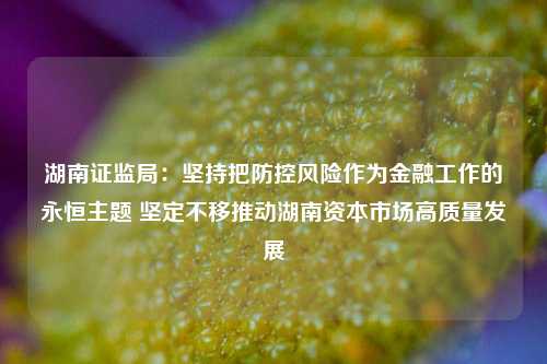 湖南证监局：坚持把防控风险作为金融工作的永恒主题 坚定不移推动湖南资本市场高质量发展