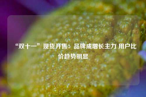 “双十一”现货开售：品牌成增长主力 用户比价趋势明显