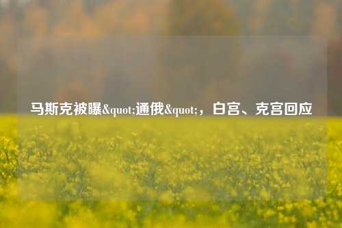 马斯克被曝"通俄"，白宫、克宫回应