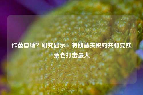 作茧自缚？研究显示：特朗普关税对共和党铁票仓打击最大