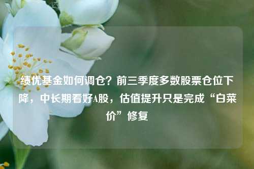 绩优基金如何调仓？前三季度多数股票仓位下降，中长期看好A股，估值提升只是完成“白菜价”修复