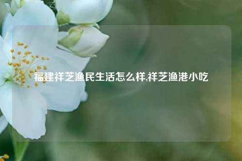 福建祥芝渔民生活怎么样,祥芝渔港小吃