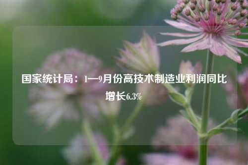 国家统计局：1—9月份高技术制造业利润同比增长6.3%