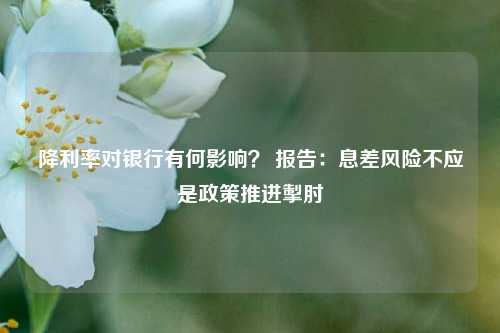 降利率对银行有何影响？ 报告：息差风险不应是政策推进掣肘