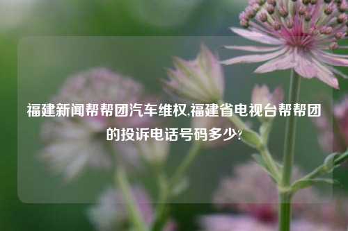 福建新闻帮帮团汽车维权,福建省电视台帮帮团的投诉电话号码多少?