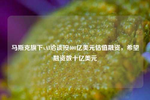 马斯克旗下xAI洽谈按400亿美元估值融资，希望融资数十亿美元