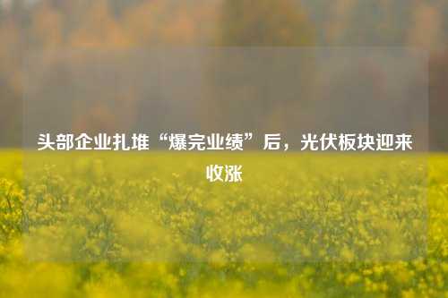 头部企业扎堆“爆完业绩”后，光伏板块迎来收涨