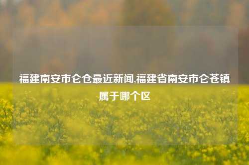 福建南安市仑仓最近新闻,福建省南安市仑苍镇属于哪个区