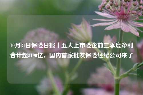 10月31日保险日报丨五大上市险企前三季度净利合计超3190亿，国内首家批发保险经纪公司来了